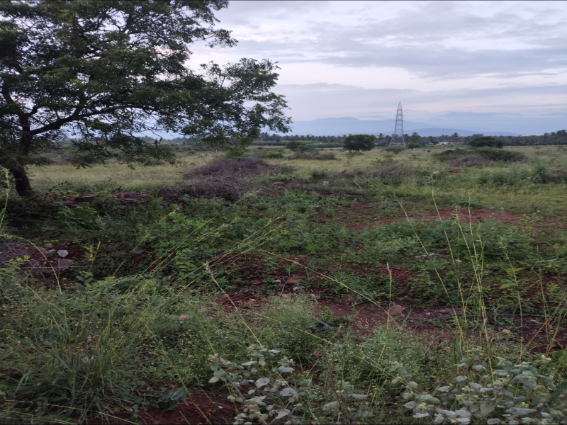  2 Acre Agricultural/Farm Land for Sale in Karamadai, Coimbatore