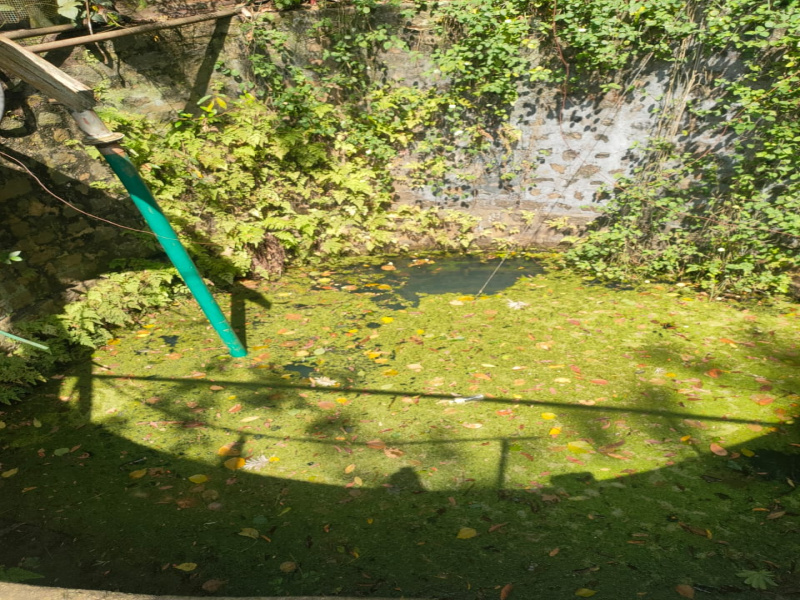  165 Acre Agricultural/Farm Land for Sale in Kodaikanal, Dindigul