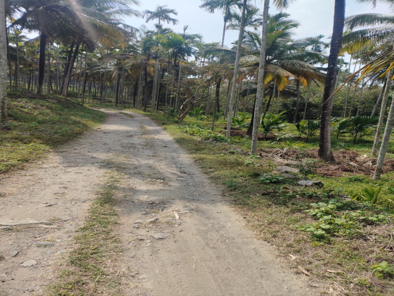  16 Acre Agricultural/Farm Land for Sale in Agali, Palakkad