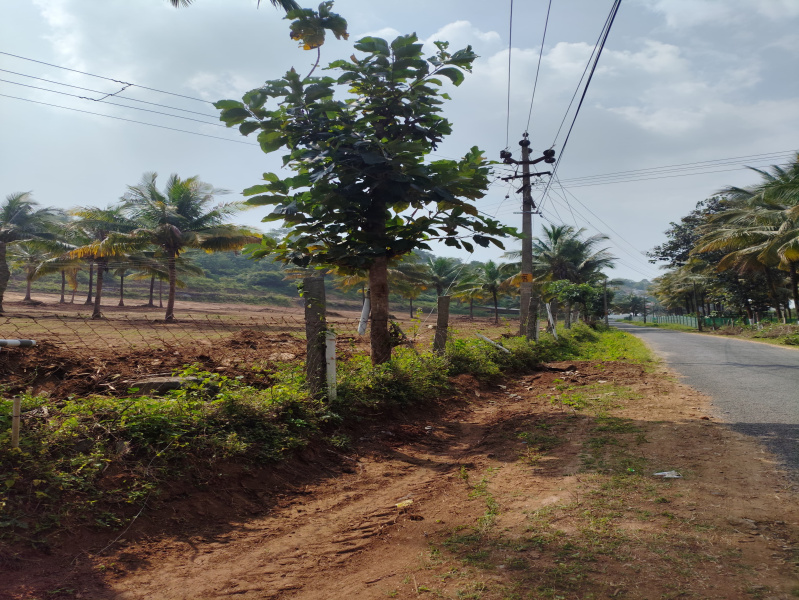  5 Acre Agricultural/Farm Land for Sale in Agali, Palakkad