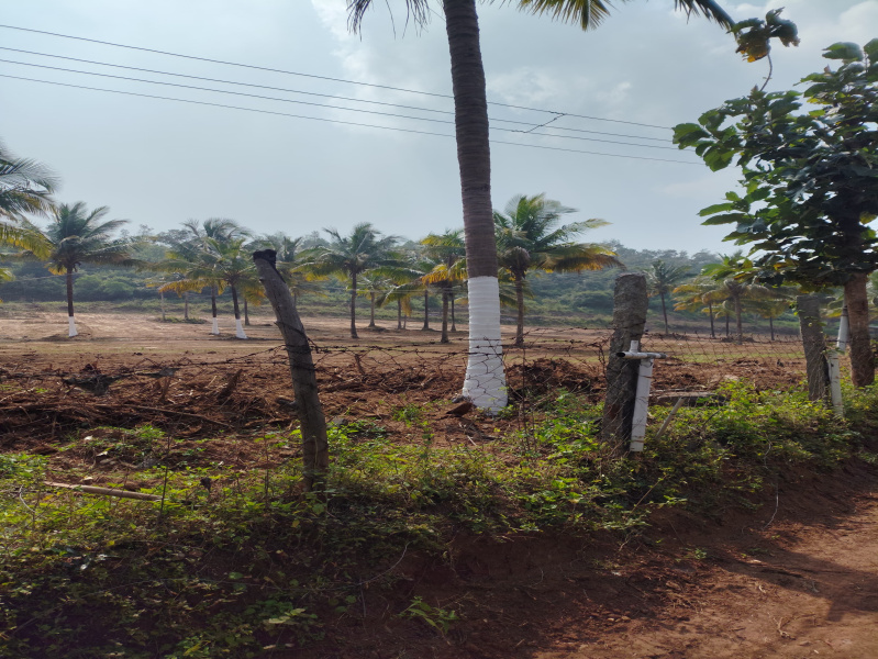  5 Acre Agricultural/Farm Land for Sale in Agali, Palakkad