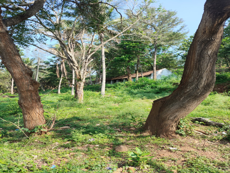  8 Acre Agricultural/Farm Land for Sale in Anaikatti, Coimbatore