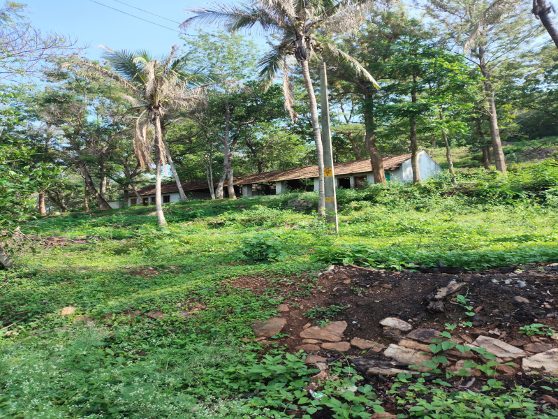  8 Acre Agricultural/Farm Land for Sale in Anaikatti, Coimbatore