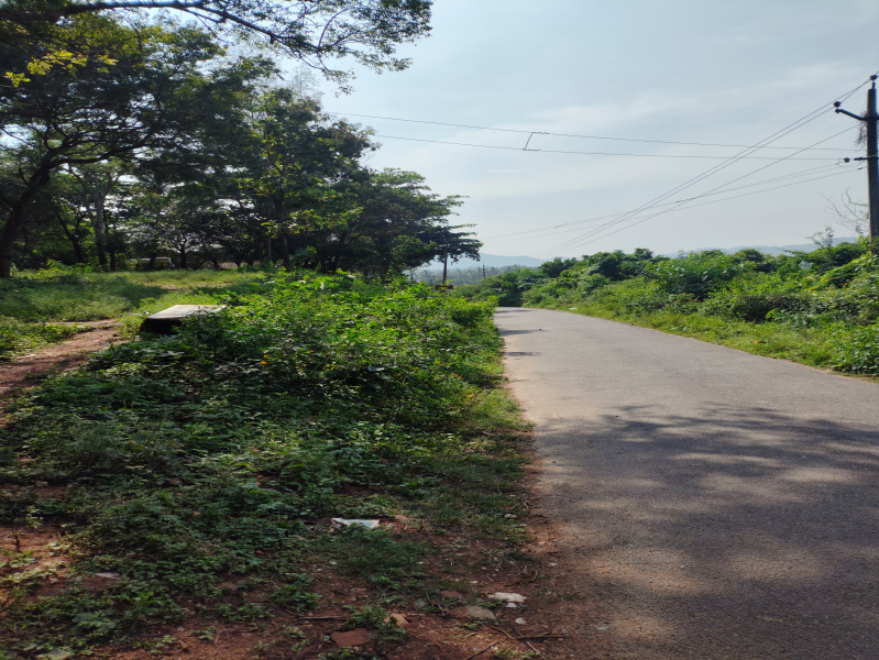  8 Acre Agricultural/Farm Land for Sale in Anaikatti, Coimbatore