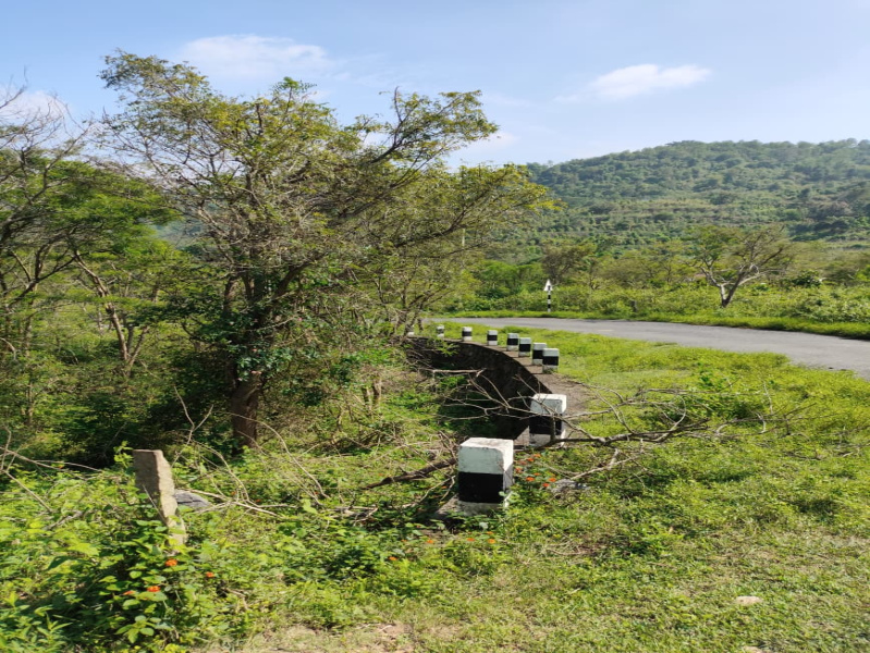  5 Acre Agricultural/Farm Land for Sale in Kottathara, Palakkad