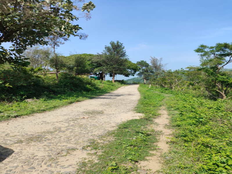  5 Acre Agricultural/Farm Land for Sale in Kottathara, Palakkad