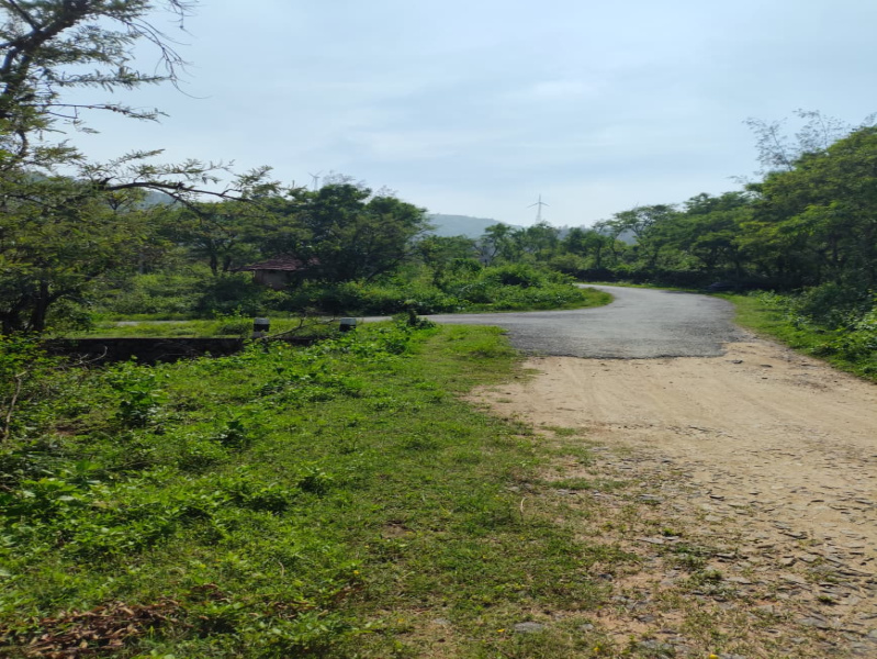  5 Acre Agricultural/Farm Land for Sale in Kottathara, Palakkad