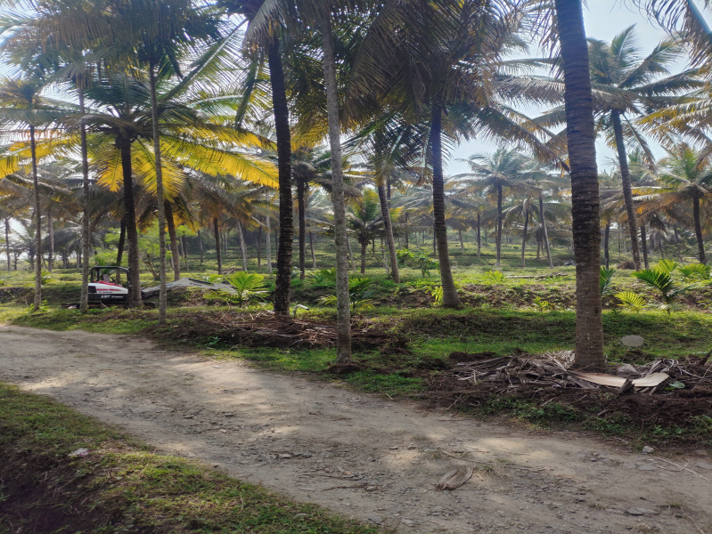  4 Acre Agricultural/Farm Land for Sale in Alandurai, Coimbatore