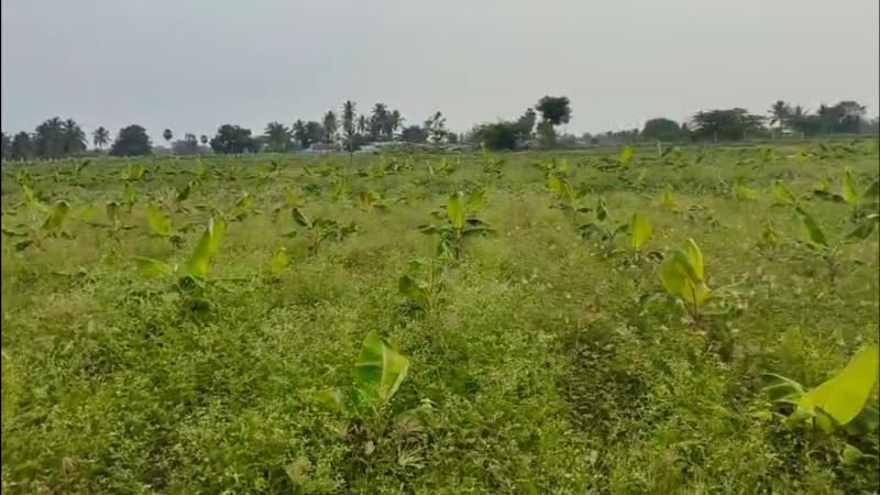  2 Acre Agricultural/Farm Land for Sale in Sirumugai, Coimbatore