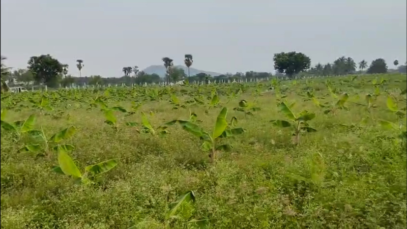  2 Acre Agricultural/Farm Land for Sale in Sirumugai, Coimbatore