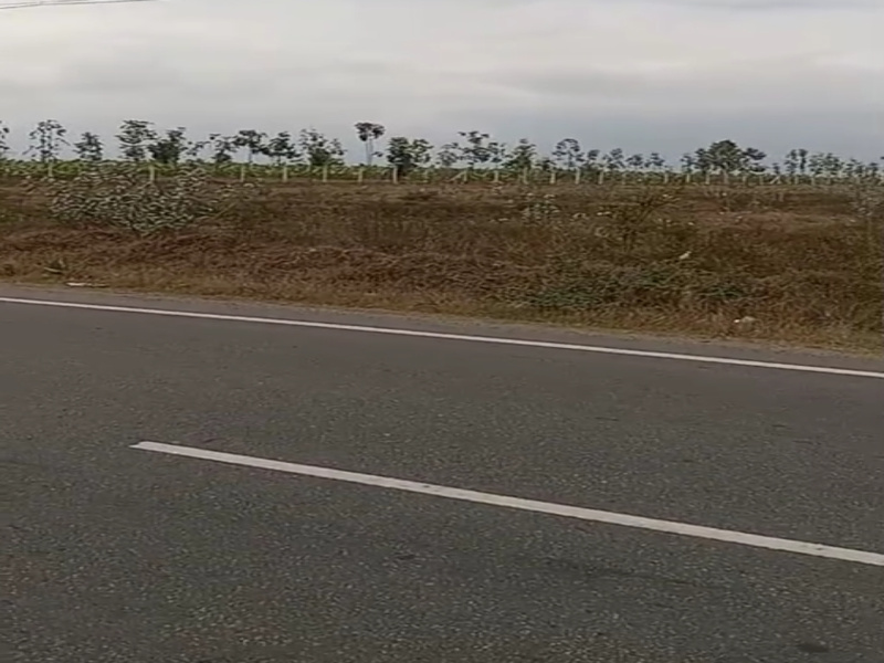  4 Acre Residential Plot for Sale in Sirumugai, Coimbatore