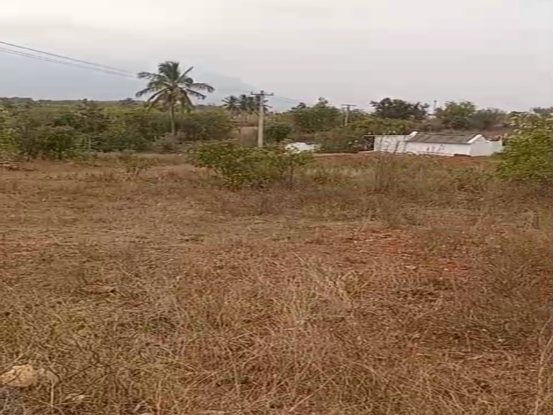  1 Acre Agricultural/Farm Land for Sale in Sirumugai, Coimbatore
