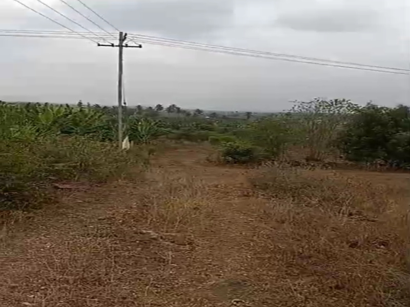 1 Acre Agricultural/Farm Land for Sale in Sirumugai, Coimbatore