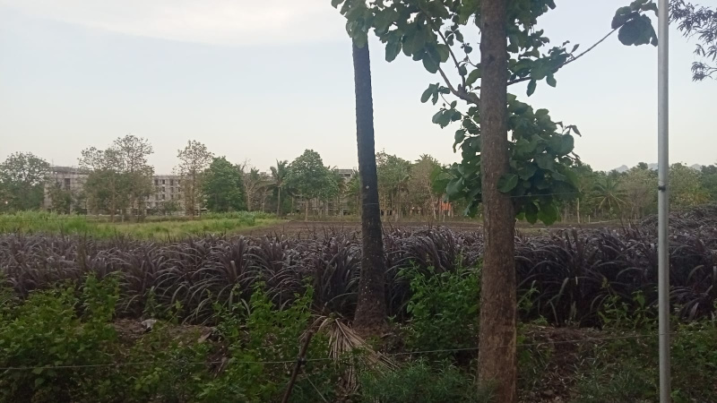  30 Cent Agricultural/Farm Land for Sale in Madampatti, Coimbatore