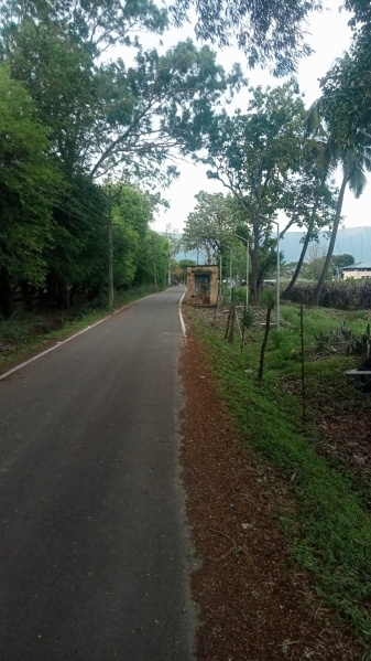 30 Cent Agricultural/Farm Land for Sale in Madampatti, Coimbatore