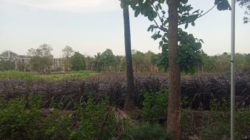 Agricultural Land for Sale in Pooluvapatti, Coimbatore