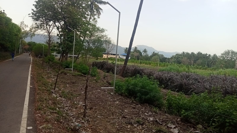  30 Cent Agricultural/Farm Land for Sale in Pooluvapatti, Coimbatore