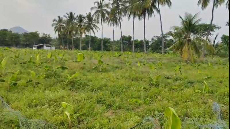  4 Acre Agricultural/Farm Land for Sale in Madampatti, Coimbatore