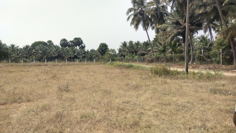  3 Acre Agricultural/Farm Land for Sale in Vadakkipalayam, Coimbatore