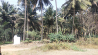  Residential Plot for Sale in Pollachi, Coimbatore