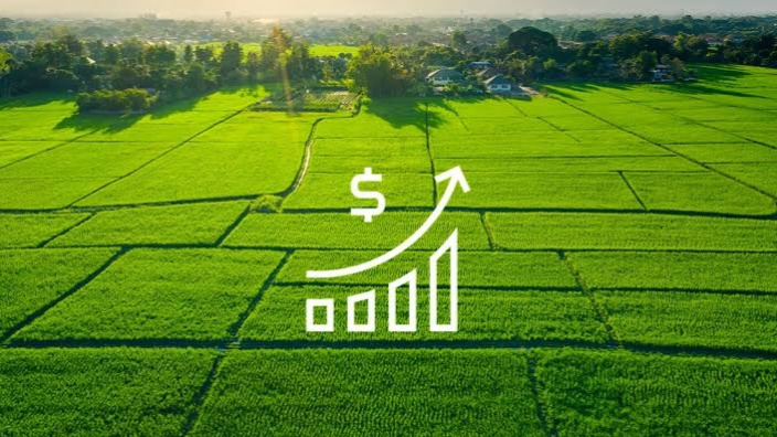  22 Cent Residential Plot for Sale in Bagalur Road, Hosur