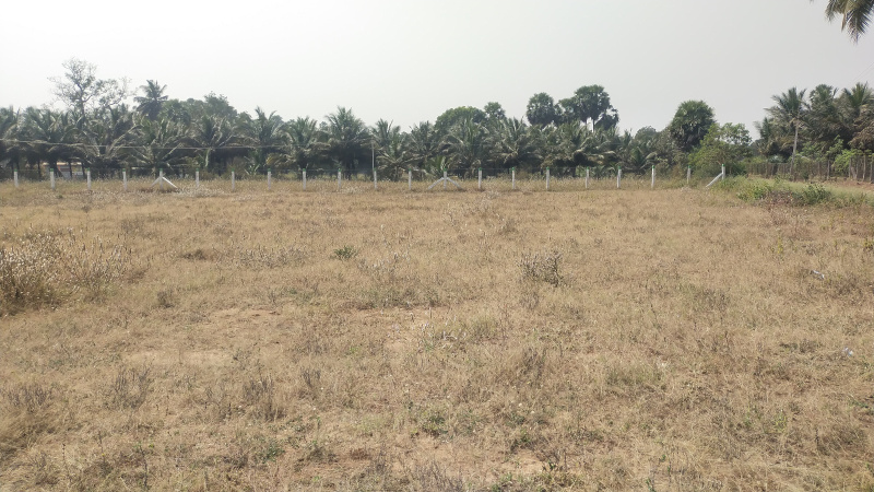  2 Acre Agricultural/Farm Land for Sale in Bagalur Road, Hosur