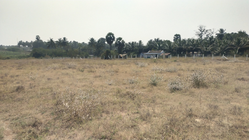  2 Acre Agricultural/Farm Land for Sale in Bagalur Road, Hosur