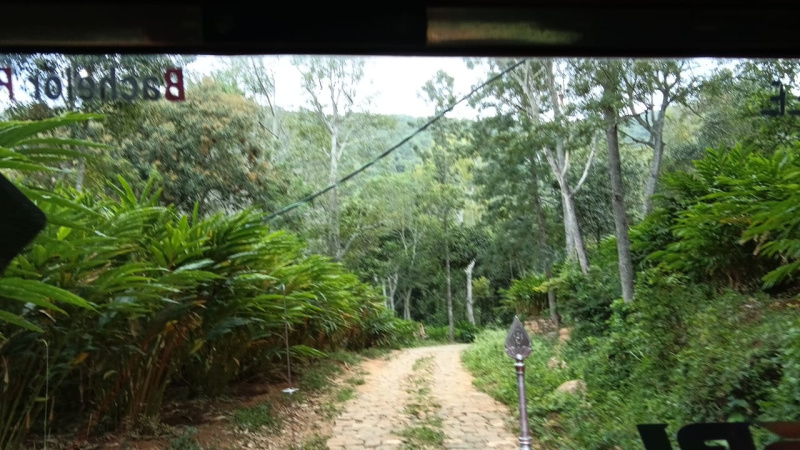  340 Acre Agricultural/Farm Land for Sale in Kodai Lake, Kodaikanal