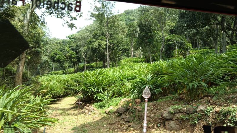  340 Acre Agricultural/Farm Land for Sale in Kodai Lake, Kodaikanal