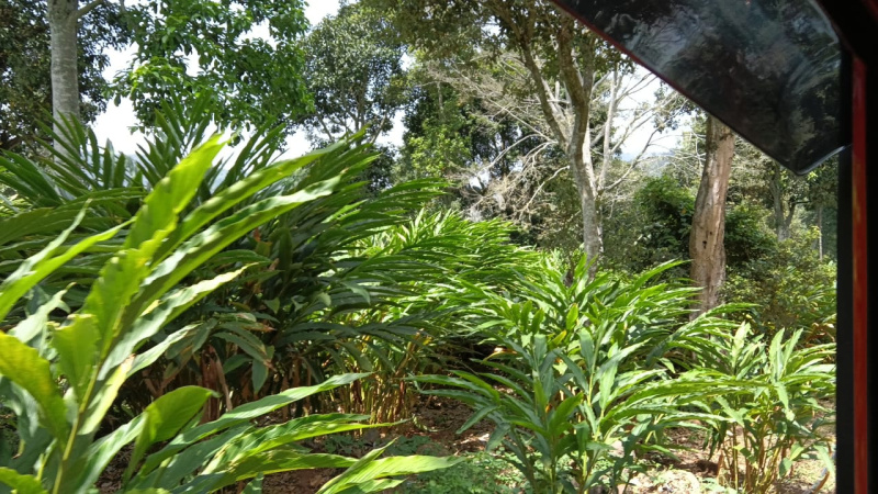  340 Acre Agricultural/Farm Land for Sale in Kodai Lake, Kodaikanal