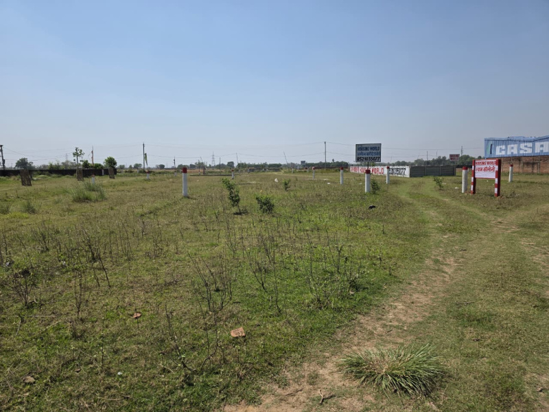  1200 Sq.ft. Residential Plot for Sale in Chirora, Patna