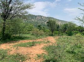  Agricultural Land for Sale in Kotkasim, Alwar