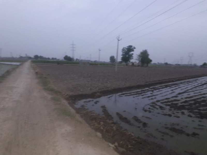 Agricultural Land 2 Sq. Yards for Sale in G T Road, Moga