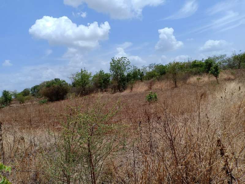 Agricultural Land 1 Acre for Sale in Homnabad, Bidar