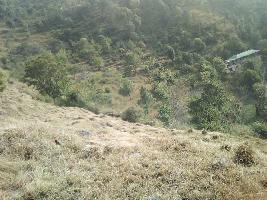  Agricultural Land for Sale in Rajgarh, Sirmour