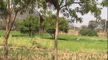  Agricultural Land for Sale in Ponnala, Siddipet