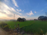 2 BHK House for Sale in Kalka, Panchkula