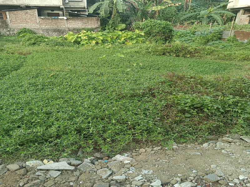  Residential Plot 3600 Sq.ft. for Sale in Narengi Tinali, Guwahati