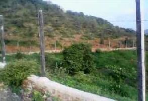  Agricultural Land for Sale in Badi, Udaipur