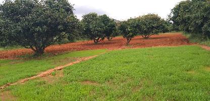  Agricultural Land for Sale in Chintamani Road, Bangalore