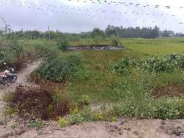  Commercial Land for Sale in Malwan, Fatehpur-UP