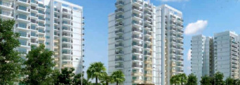 3 BHK Flat for Sale in Sector 107 Gurgaon