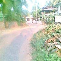  Agricultural Land for Sale in Kolazhy, Thrissur