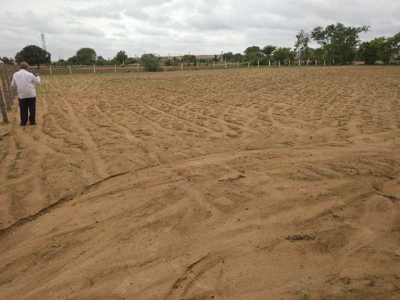 Agricultural Land 20 Acre for Sale in