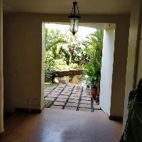 1 BHK Flat for Sale in Reis Magos, Goa