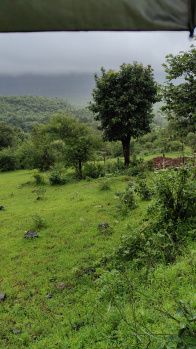  Agricultural Land for Sale in Pavana Lake, Pune