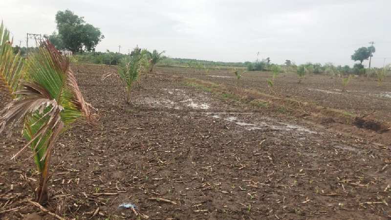 Agricultural Land 10 Acre for Sale in Pattukkottai, Thanjavur