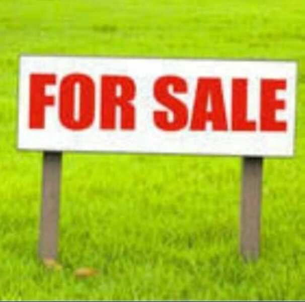  Agricultural Land 6 Bigha for Sale in Bhagwanpur, Haridwar