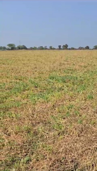  2500 Sq.ft. Commercial Land for Sale in Luxa, Varanasi