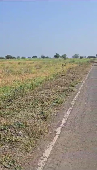  4500 Sq.ft. Commercial Land for Sale in Mahmoorganj, Varanasi